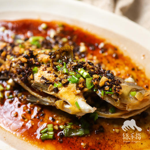 野生海钓石斑鱼 （东山岛）| 合作生产 * Wild Garoupar | Coproduction 商品图2