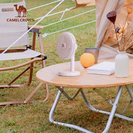 户外露营小风扇帐篷灯便携充电静音LED灯悬挂营地灯学生宿舍照明 1J32350504 商品图2