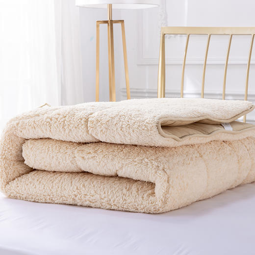 多喜爱 暖阳负离子两用软垫 cs 商品图4