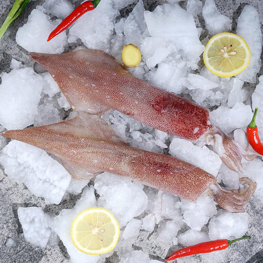 MM 山姆 Member's Mark 三去红鱿鱼 600g 商品图1