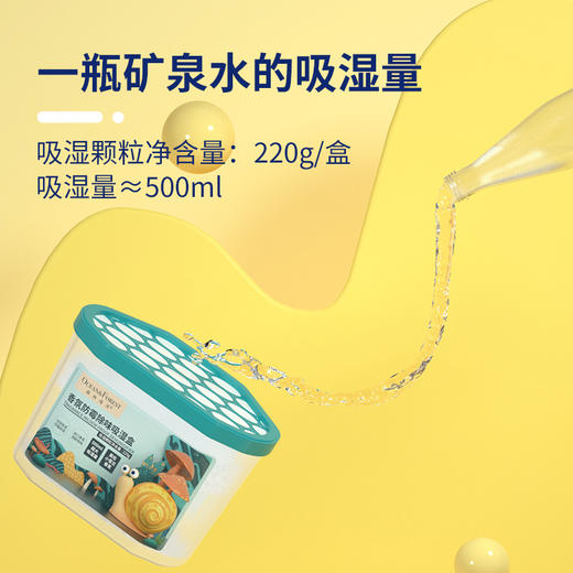 森林海洋 除湿盒香氛防霉除味干燥剂大容量防潮吸湿盒5盒装 商品图3