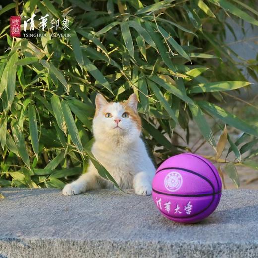 清华大学1#迷你篮球 商品图1