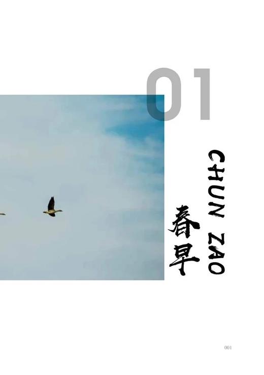 后山&1149（张鹏、张睿麟 著）天空王者作者最新力作，父子共同书写的自然观察笔记 商品图6