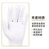 Titleist泰特利斯 男士高尔夫Perma-Soft 抗雨抗汗水小羊皮手套 商品缩略图6