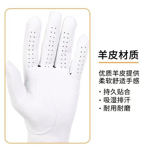 Titleist泰特利斯 男士高尔夫Perma-Soft 抗雨抗汗水小羊皮手套 商品图6