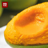 【椰乳浓香】超好吃的椰香芒果5/8/10斤装 商品缩略图1