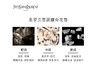 YSL 自由香水 浓香 30ml / 50ml 商品缩略图2