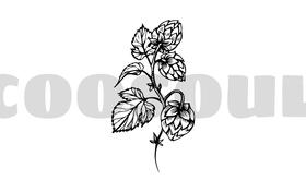 食品级二氧化碳气瓶充气费（单拍不送）