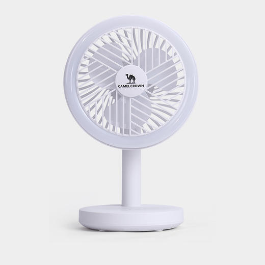 户外露营小风扇帐篷灯便携充电静音LED灯悬挂营地灯学生宿舍照明 1J32350504 商品图4