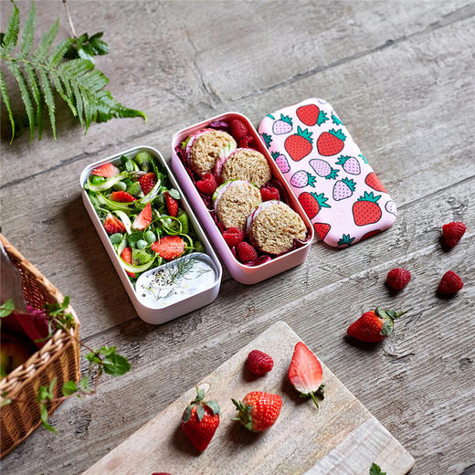 法国monbento芝芝莓莓系列便当盒饭盒