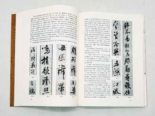《形势衍》，16开平装，沃兴华著，上海古籍出版社2010年版，定价52，售价30元。品相9成。

本书论述了书法构成中的三个层次，即点画中的形和势，结体中的笔势和体势，章法中的时间节奏和空间造形，并以 商品图8