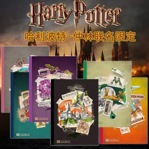 日本/nakabayashi仲林/哈利波特限定款/笔记本/简约ins风/B5横线本/Harry Potter 商品图0