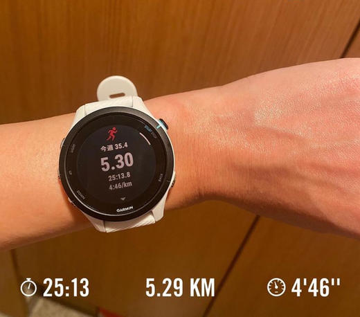 Garmin佳明Forerunner255音乐跑步游泳血氧心率运动手表 商品图4