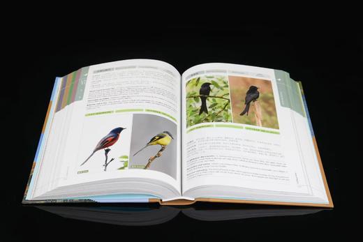 【2022年首都科普好书】北京鸟类图谱1384 商品图1