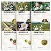 【现货】油茶产业应用技术丛书 商品缩略图0