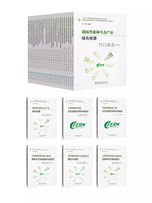 中国山水林田湖草生态产品监测评估及绿色核算系列丛书“十四五”时期国家重点出版物出版专项规划 商品图0