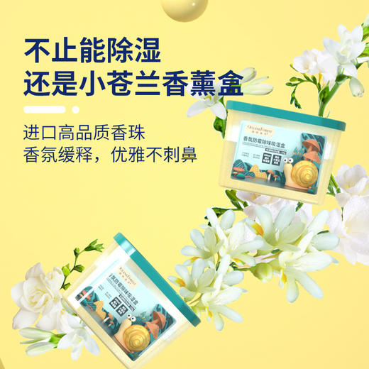 森林海洋 除湿盒香氛防霉除味干燥剂大容量防潮吸湿盒5盒装 商品图4