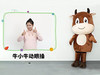 牛小牛动眼操 商品缩略图0