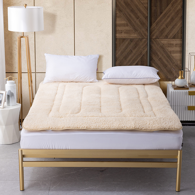 多喜爱 暖阳负离子两用软垫 cs