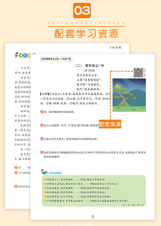 阅读理解专项训练书一二三四五六年级上下册语文课外阅读理解同步专项强化训练题人教版小学 商品图1