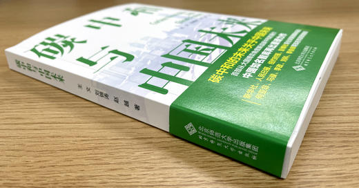 碳中和与中国未来 9787303278619 王文，刘锦涛，赵越 著 北京师范大学出版社 商品图5