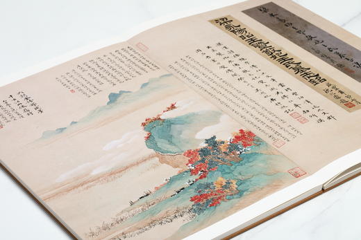 上海博物馆藏碑帖珍本丛刊【组合&单本】 商品图10