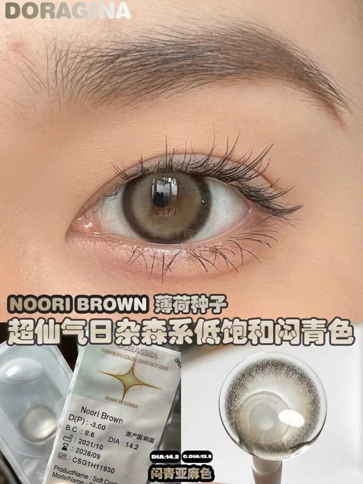 Doragina 年抛 薄荷种子 直径14.2mm着色13.5mm 商品图5