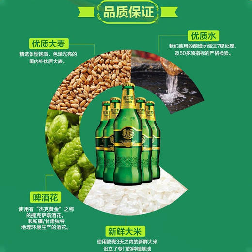 【青岛啤酒】奥古特330ml*24瓶 12度 商品图2