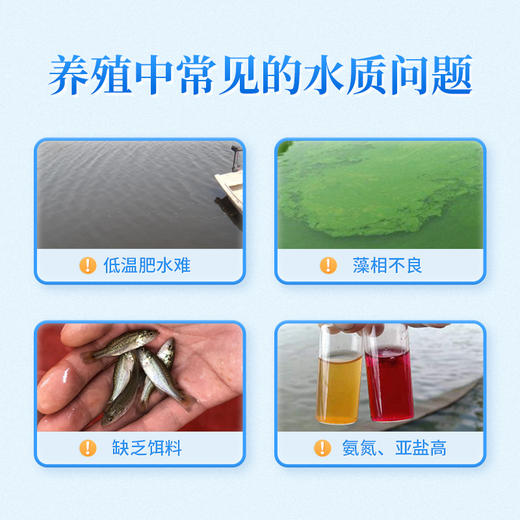 华畜硅藻种源500g 低温藻种肥水培饵 活力强繁殖快 可搭配肥水膏使用 商品图1