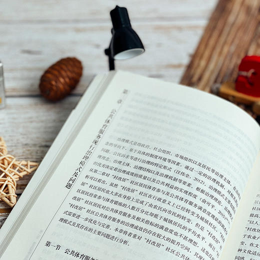 “村改居”社区公共体育服务治理模式研究 正版 华东师范大学出版社 商品图4