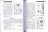 深圳植物志 第4卷 8309 深圳市中国科学院仙湖植物园 2800多种植物 野生植物 悠久栽培历史的植物 园林植物 中国林业出版社畅销书 商品缩略图1