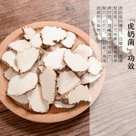 特大片热带虎乳菌250g
