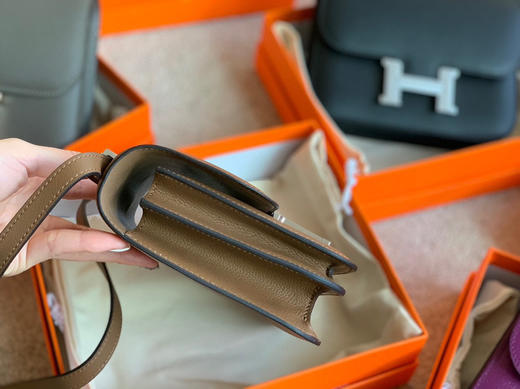 高定康康出货 〰️山羊皮威马犬 商品图3