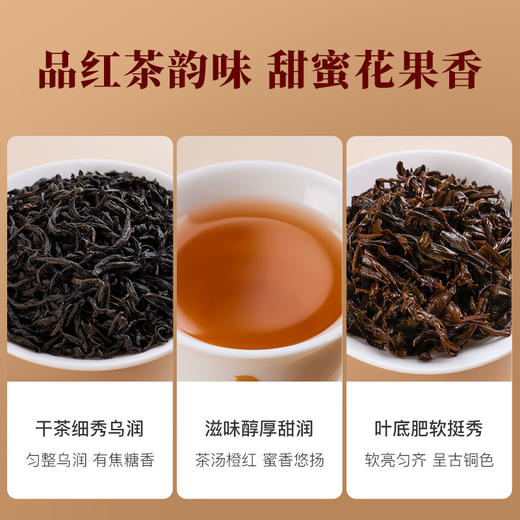 八马茶业 | 武夷红茶正山小种茶叶大罐装250g 商品图4