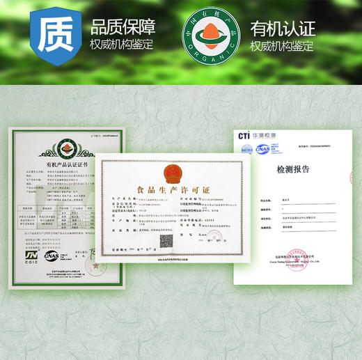 雪博士出品有机黑木耳100g/罐东北黑木耳东北有机干货小兴安岭特产 商品图4