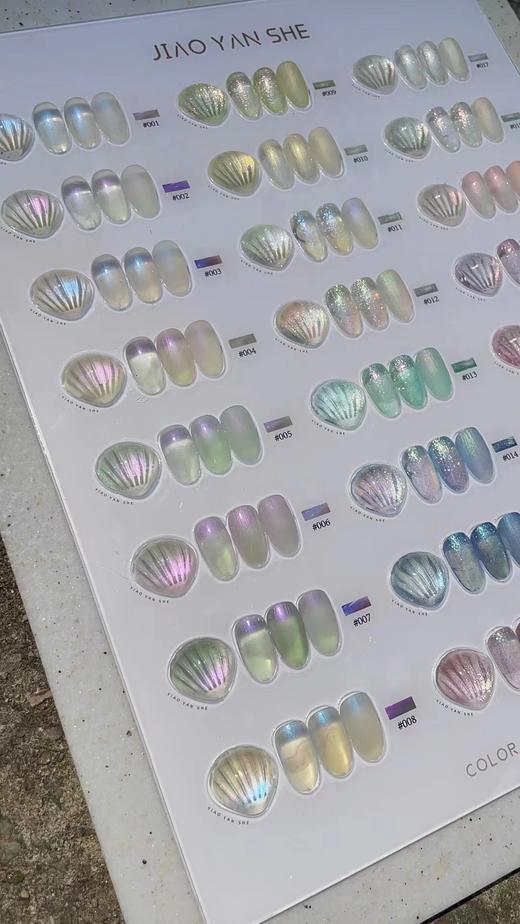 【秒杀价】胶研社·24人鱼贝壳 商品图2