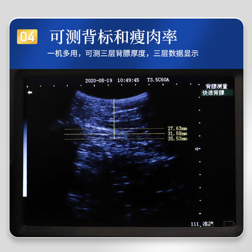 华畜 新型兽用B超机 十种色彩 高清大屏 多功能测量 图像清晰 测量准确 兽用B超机 商品图4