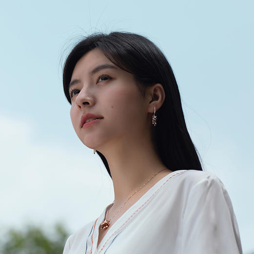 ［醒狮系列］18K玫瑰金群镶钻耳饰 商品图3