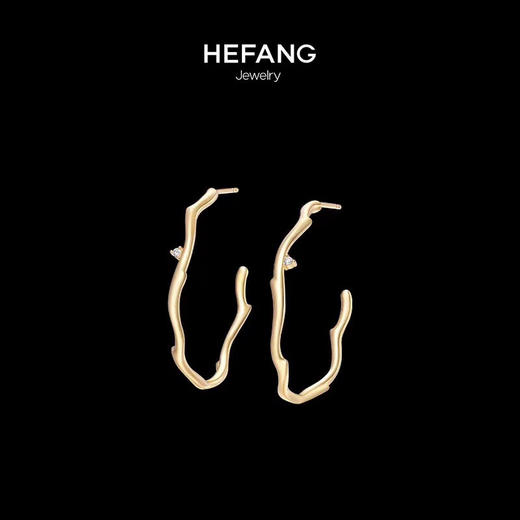 何F流金岁月倪妮同款荆棘耳环 商品图0