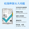 华畜硅藻种源500g 低温藻种肥水培饵 活力强繁殖快 可搭配肥水膏使用 商品缩略图3