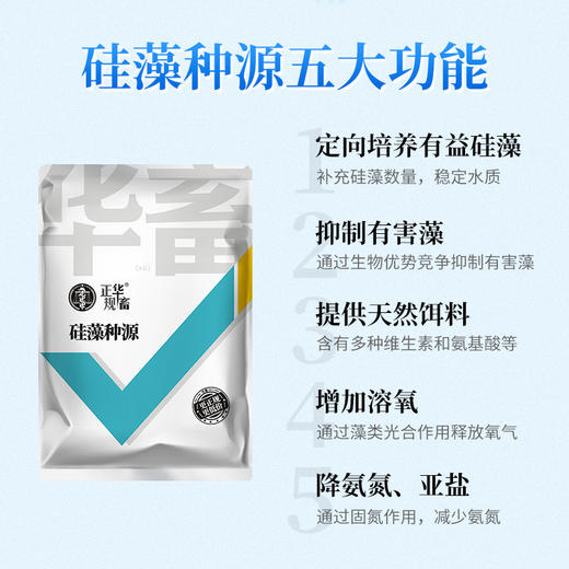 华畜硅藻种源500g 低温藻种肥水培饵 活力强繁殖快 可搭配肥水膏使用 商品图3