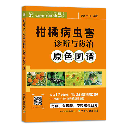 七册包邮 柑橘病虫害诊断防治 柑橘整形修剪 柑橘缺素症状及矫正技术 柑橘水肥一体化技术 柑橘生产精细管理 绿色食品柑橘300问 商品图4