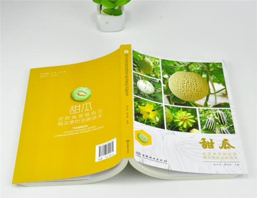 甜瓜优质高效栽培及病虫害防治新技术 9903 张万清 解文新 甜瓜种植分类 品种 栽培技术 中国林业出版社 畅销书 商品图4