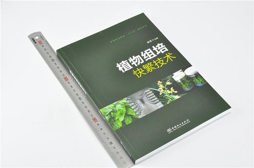 植物组培快繁技术 9657 李军 高等职业院校十三五规划教材 中国林业出版社 畅销书 商品图1