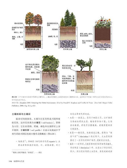 后浪正版 地理学与生活 全彩插图第11版 生活中应知晓的地理学常识 俯瞰海陆变迁 探索与重塑地球律动之美 纵览全球文化 勾勒并解析世界人地格局 商品图5