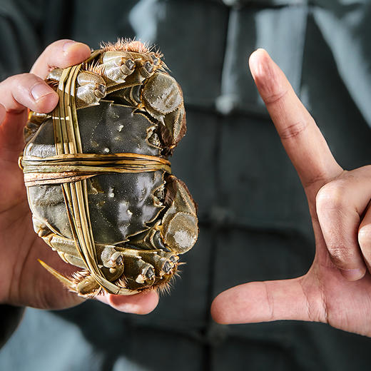 【蟹卡】湖中之W王大闸蟹998型礼券-全母3.0两/8只 商品图6