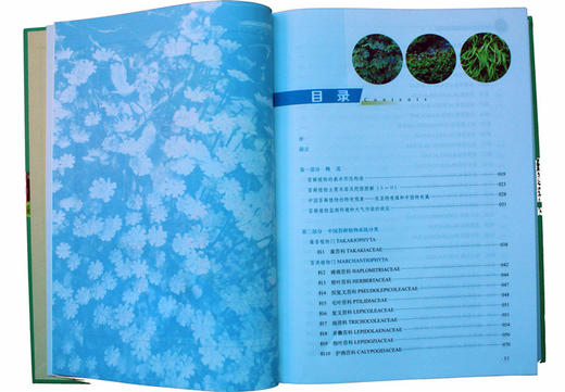 中国苔藓图鉴 吴鹏程 9071 基本形态构造 苔藓植物系统分类 藻苔 苔类 角苔 菌类 环境形态解剖素描组图 畅销书中国林业出版官方店 商品图1