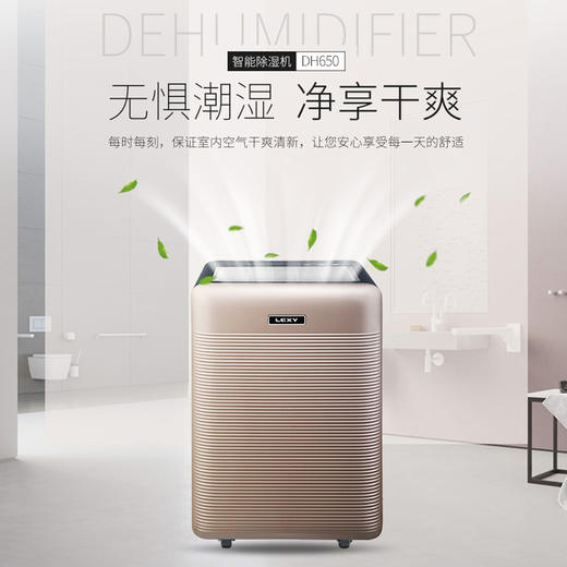 莱克DH650除湿机别墅家用工业抽湿机地下室大功率吸湿器干燥机 商品图0