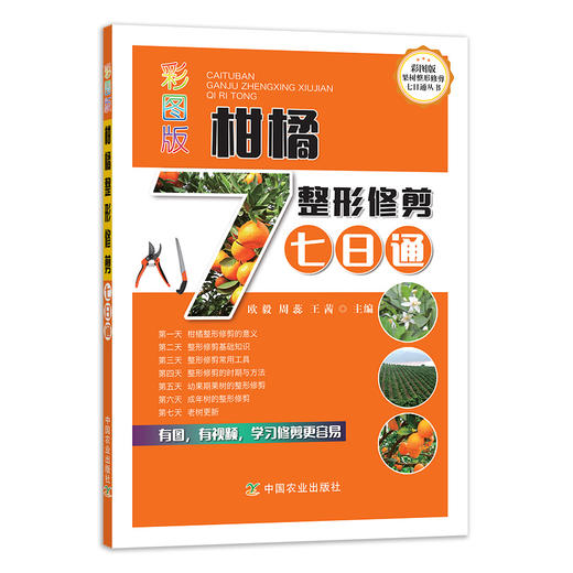 七册包邮 柑橘病虫害诊断防治 柑橘整形修剪 柑橘缺素症状及矫正技术 柑橘水肥一体化技术 柑橘生产精细管理 绿色食品柑橘300问 商品图3
