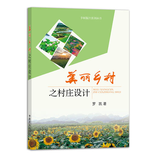美丽乡村之村庄设计 29382 乡村振兴系列丛书 乡村规划 农村规划 商品图1